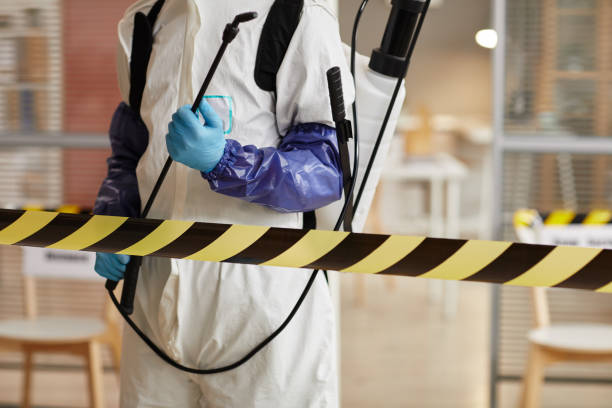 Professional Sewage Cleanup technician working in Thousand Palms, CA